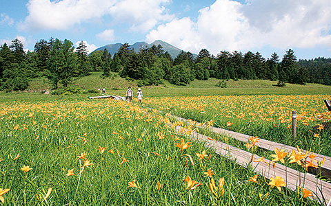 尾瀬入山口の宿 七入山荘