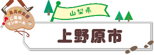 新潟 バスセンターのカレーライス