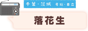 千葉・茨城 房総・日立 かつおめし